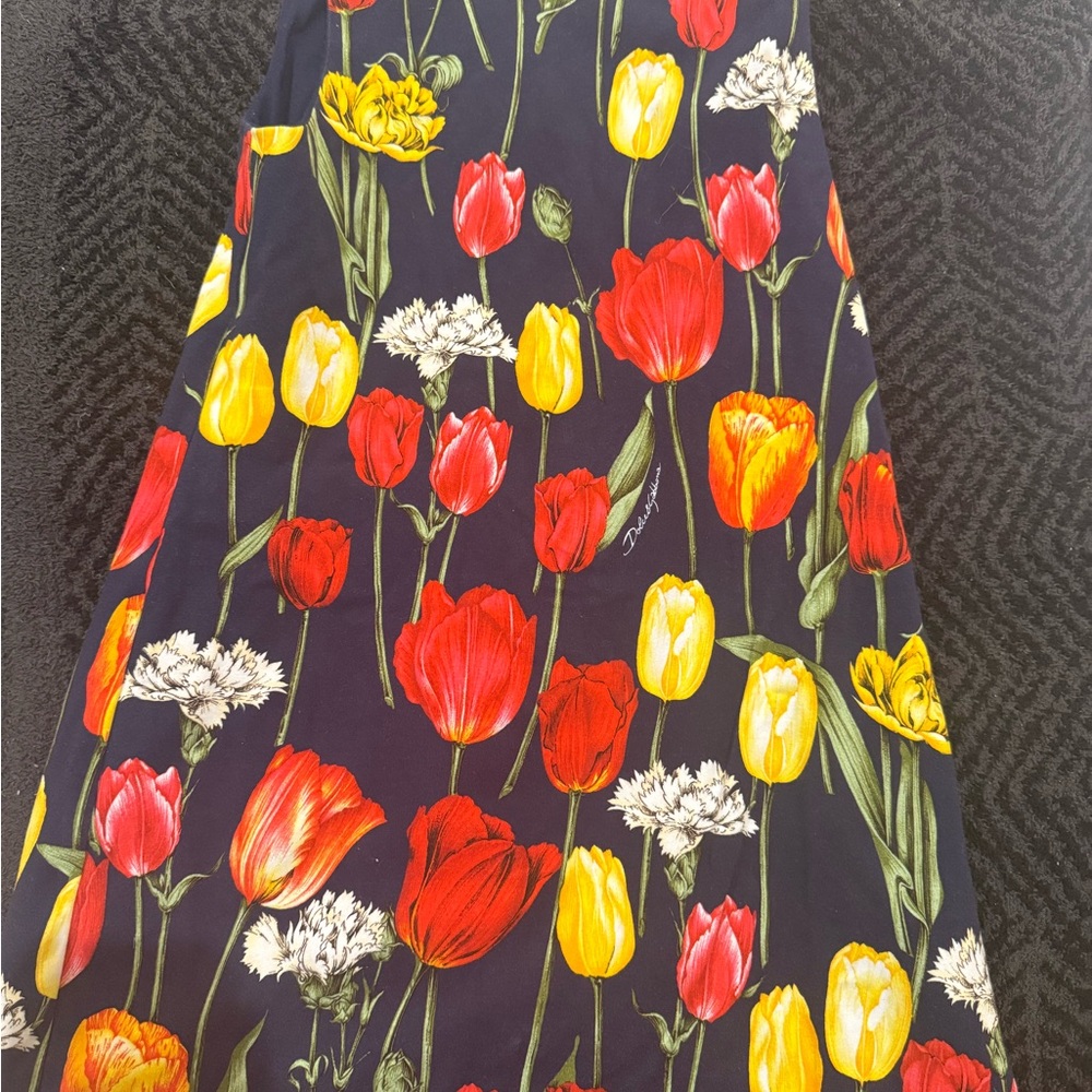 Dolce & Gabbana Navy and Red Striped Garment